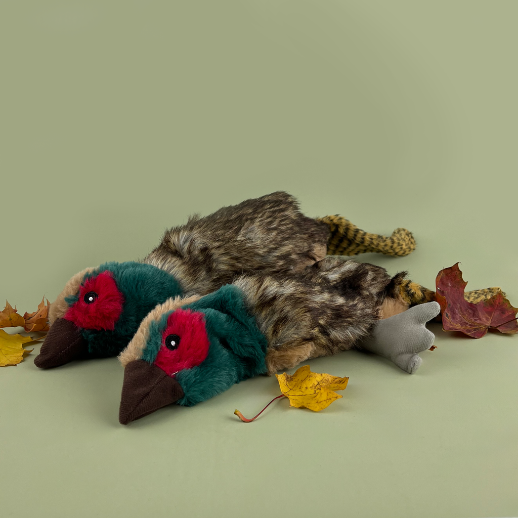 HugglePets Legacy Pheasant (Pete) Dog Toy