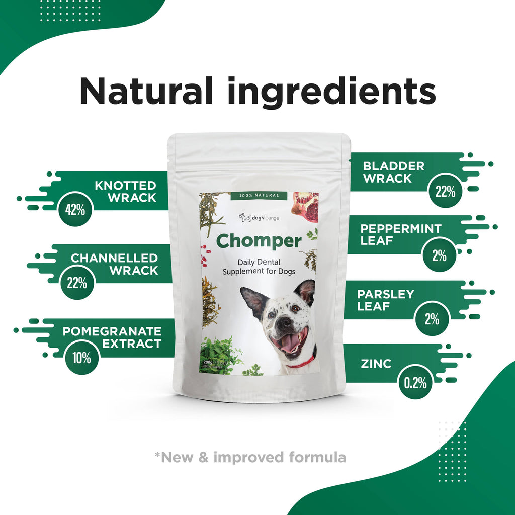 CHOMPER – Organic Tartar & Plaque Remover for Dogs & Puppies