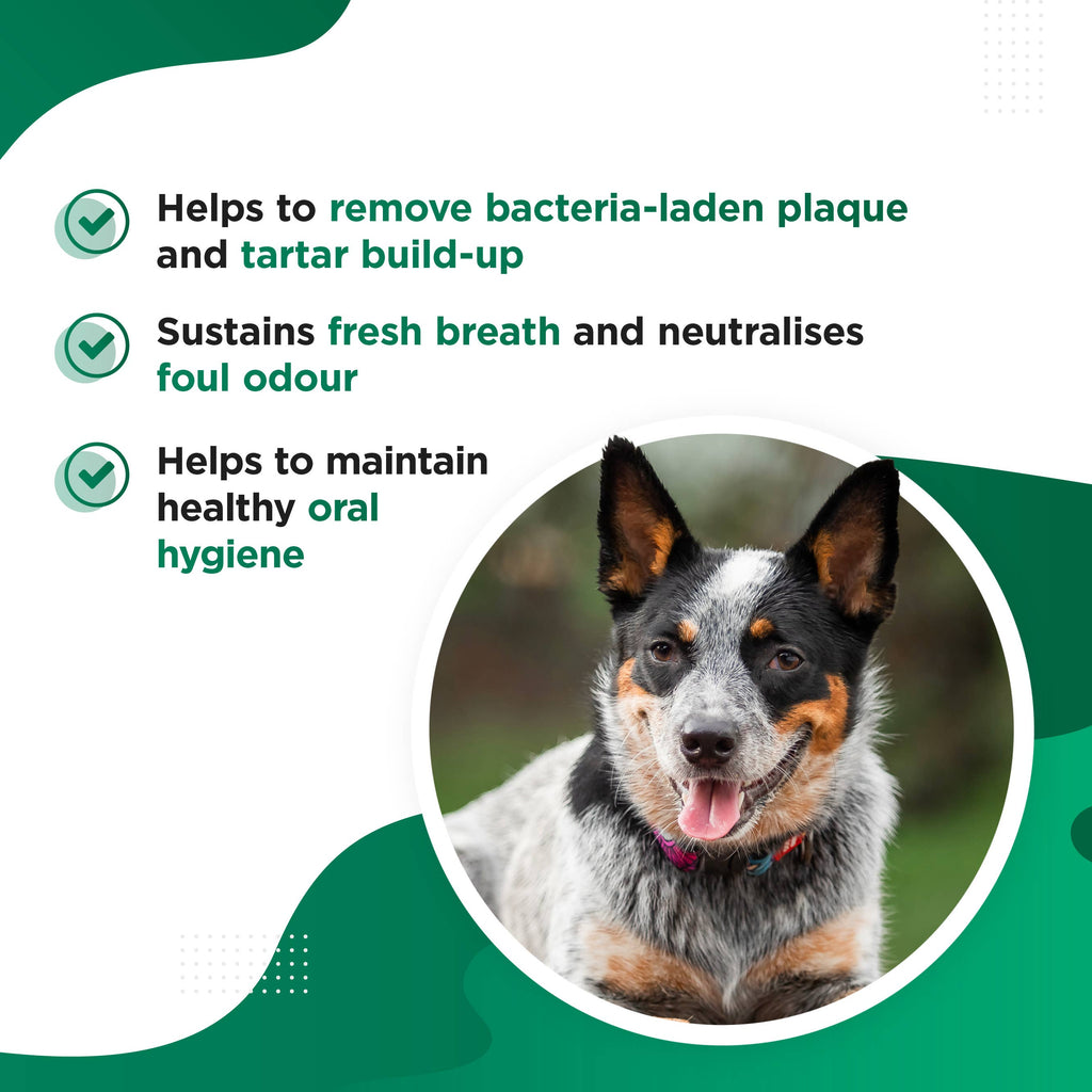CHOMPER – Organic Tartar & Plaque Remover for Dogs & Puppies