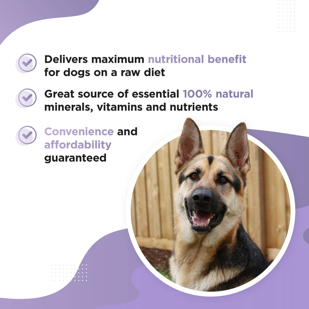 RAWSTER – Raw & Fresh Feeding Dog Supplement
