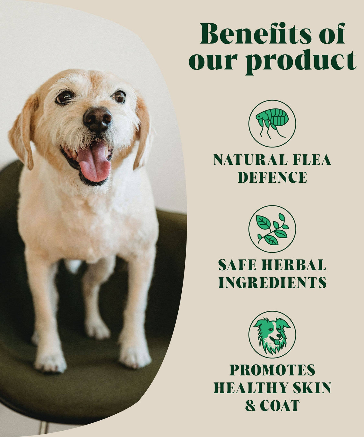 Natural Flea and Tick Powder for Dogs | Herbal Repellent