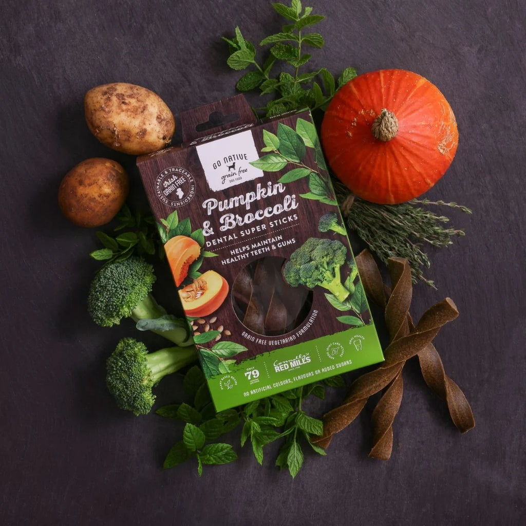 Pumpkin & Broccoli Dental Stick