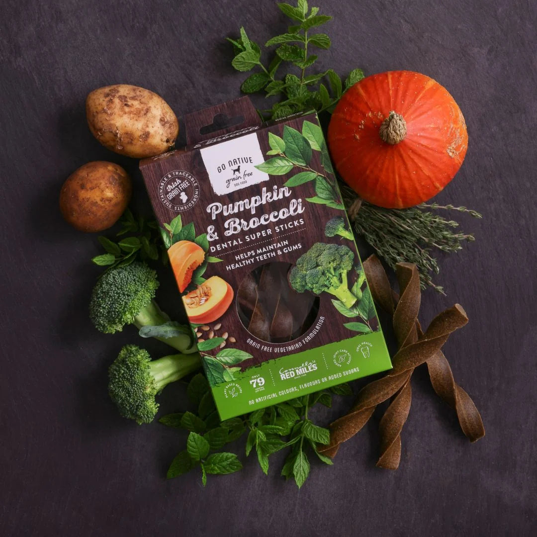 Pumpkin & Broccoli Dental Stick