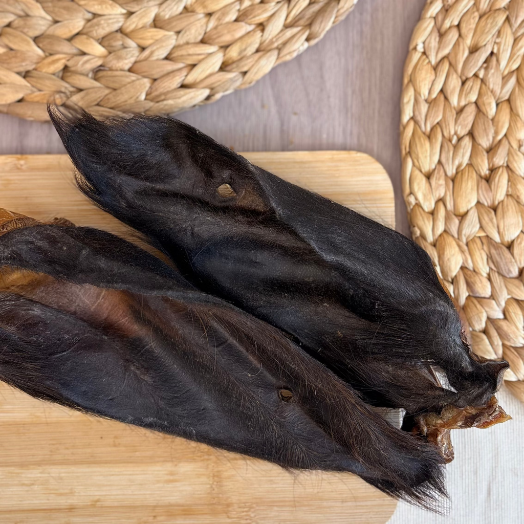 Large Hairy Cows Ear