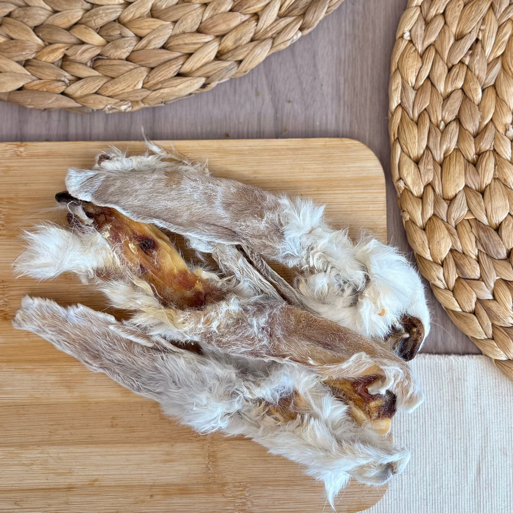 Hairy Rabbit Ear