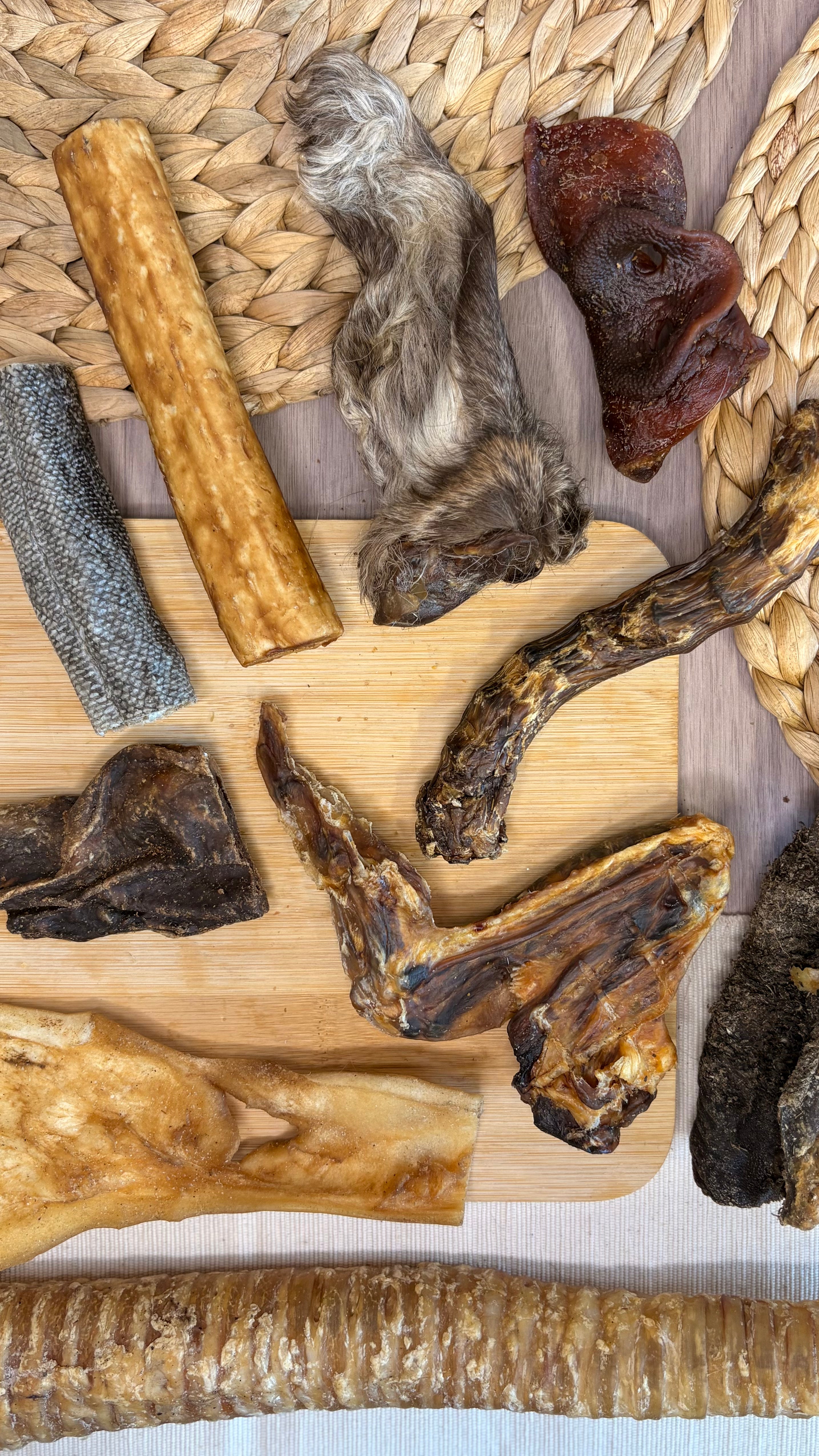 The Tough Chewers Box 💪 | built for serious chompers