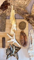 The Gentle Chewers Box 🐶 | gentle treats for easy chewers