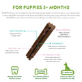 Puppy Dental Stick