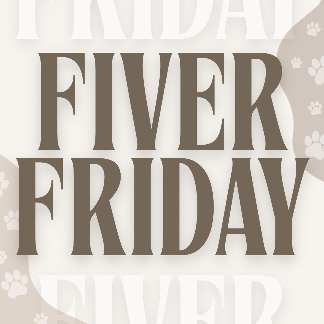 FIVER FRIDAY