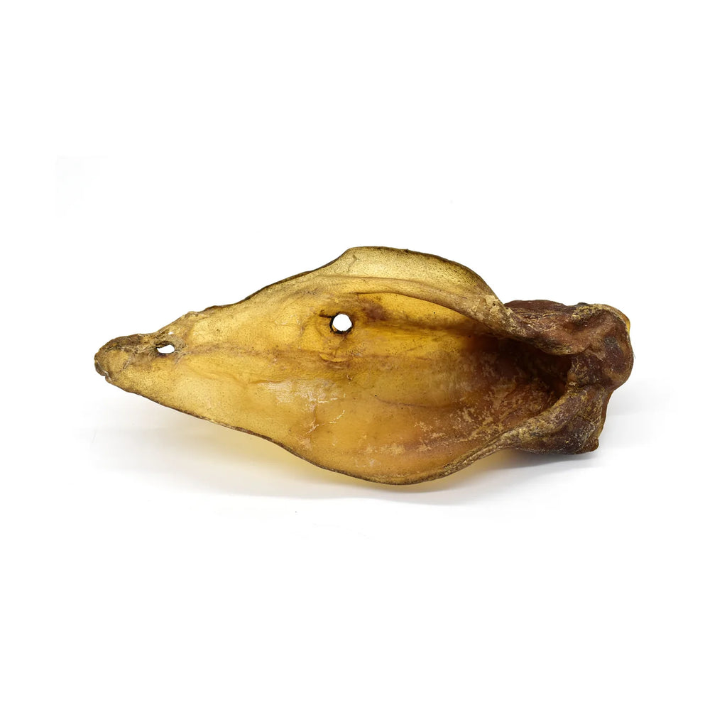 Buffalo Ear