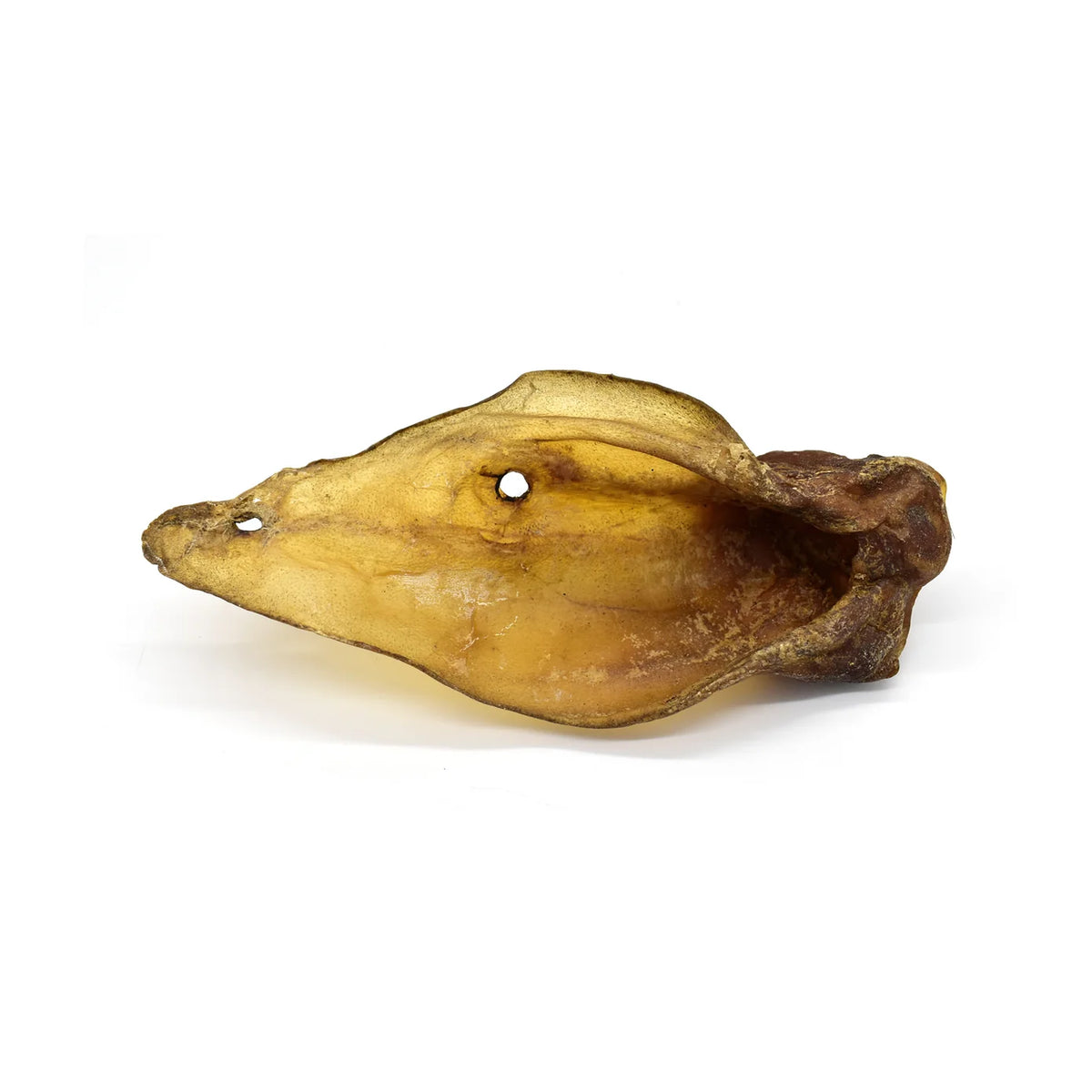 Buffalo Ear