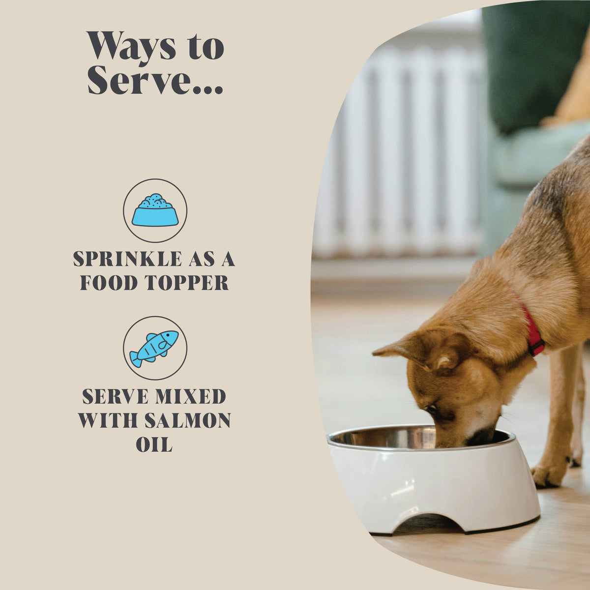 Single Pack | Plaque Seaweed Powder for Dogs | 80 Servings | (RRP: £9.95)