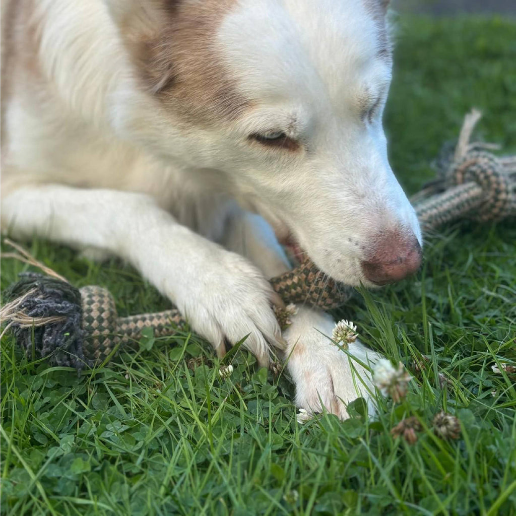 HugglePets Legacy Hemp 3 Knot Dog Toy