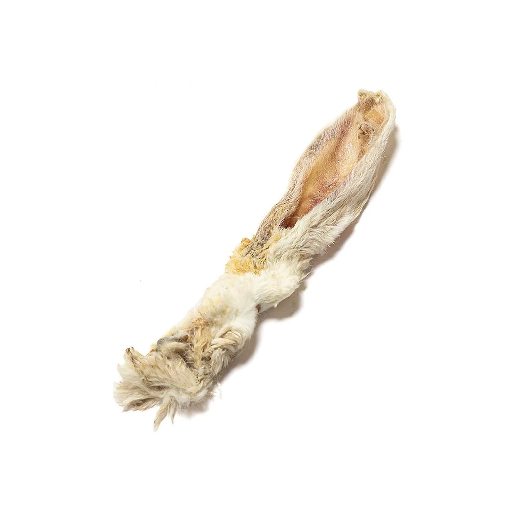 Rabbit Feet & Ears