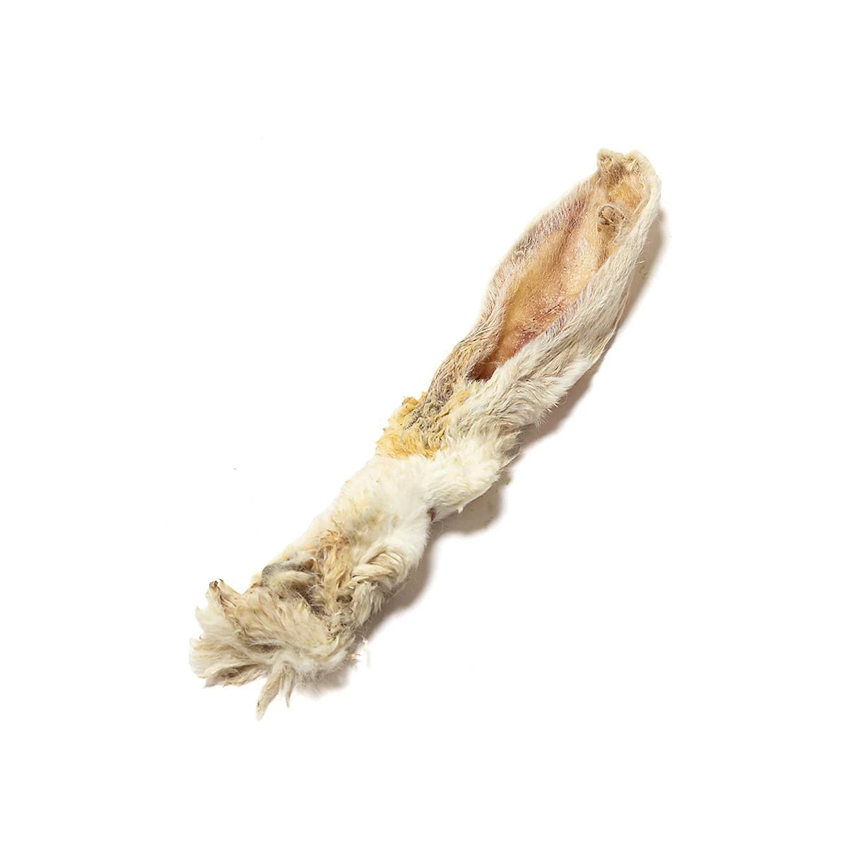 Rabbit Feet & Ears